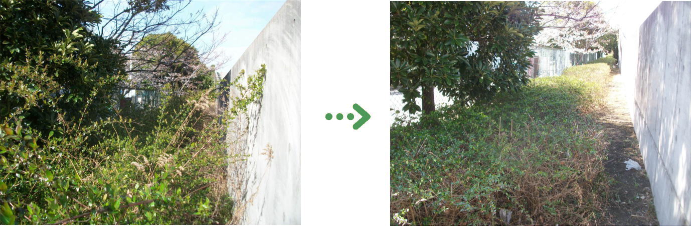 植栽管理の施工前と施工後